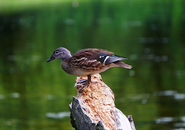 Sådan knækker du krydsordets sværeste koder